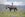 C Lazy U ranch Colorado horseback riding kids