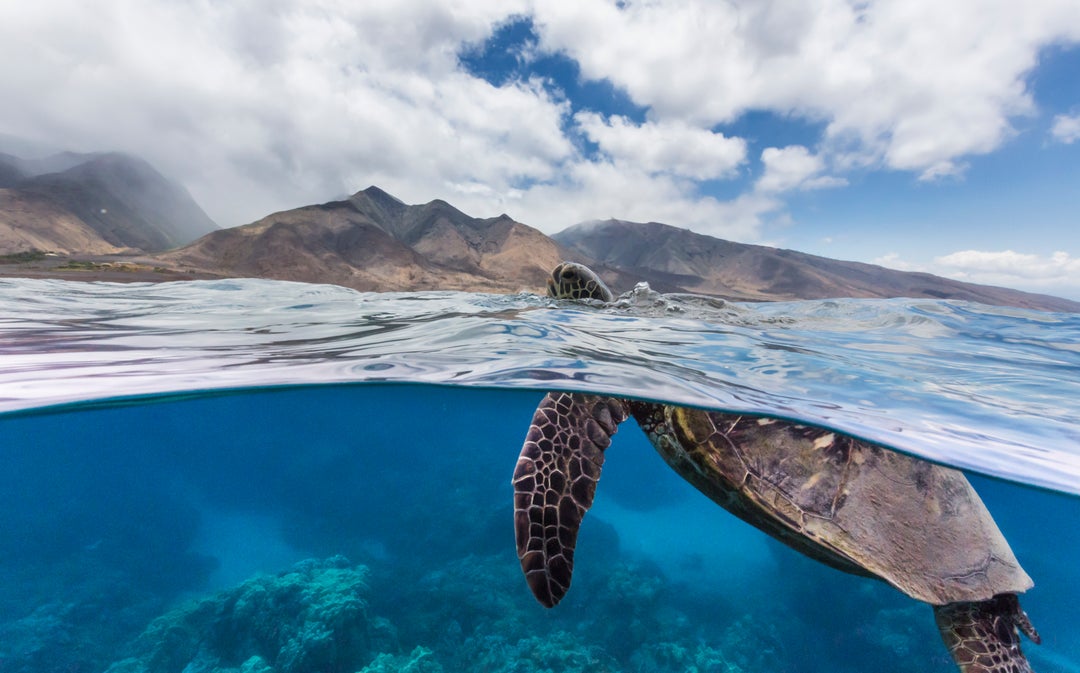 Best time to visit Hawaii for good weather and smaller crowds The