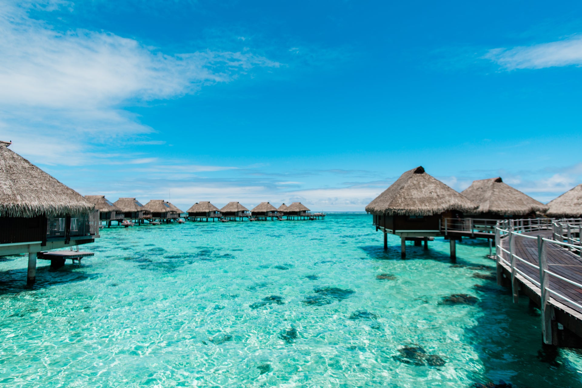 Review: Hilton Moorea Lagoon Resort and Spa - The Points Guy