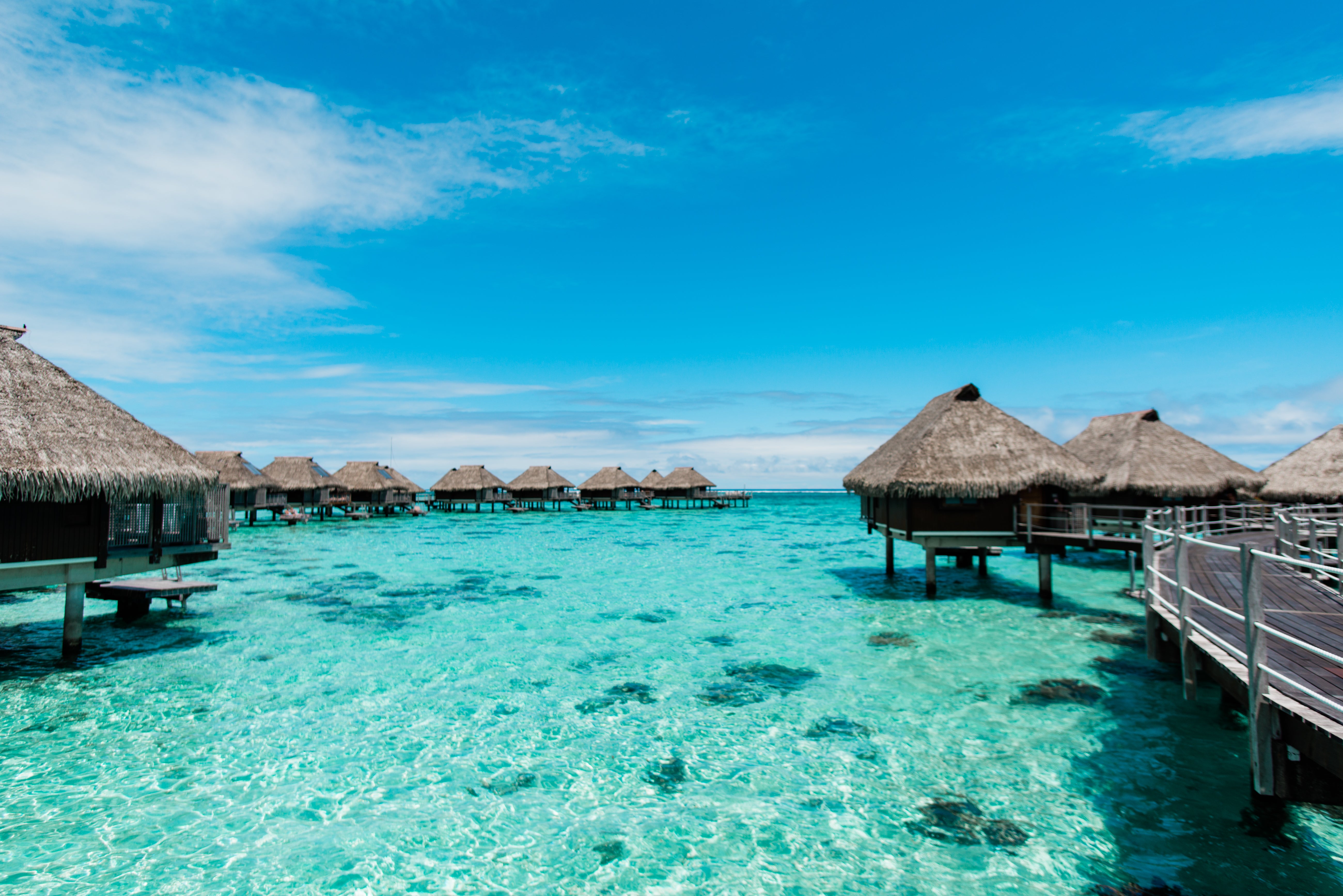 Review Hilton Moorea Lagoon Resort And Spa The Points Guy Review Hilton Moorea Lagoon Resort And Spa The Points Guy