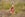 Cabo San Lucas ziplining