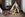 In-room tents at Park Hyatt Beaver Creek. Image courtesy of the hotel.