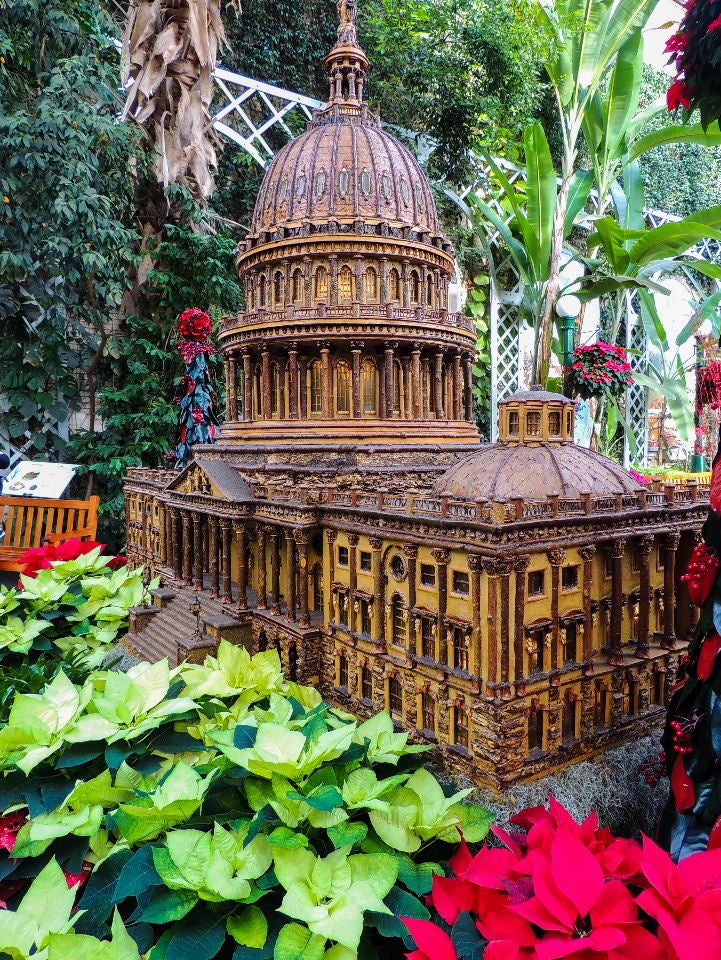 visit washington dc at christmas