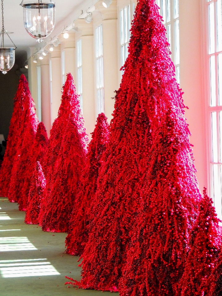 visit washington dc at christmas