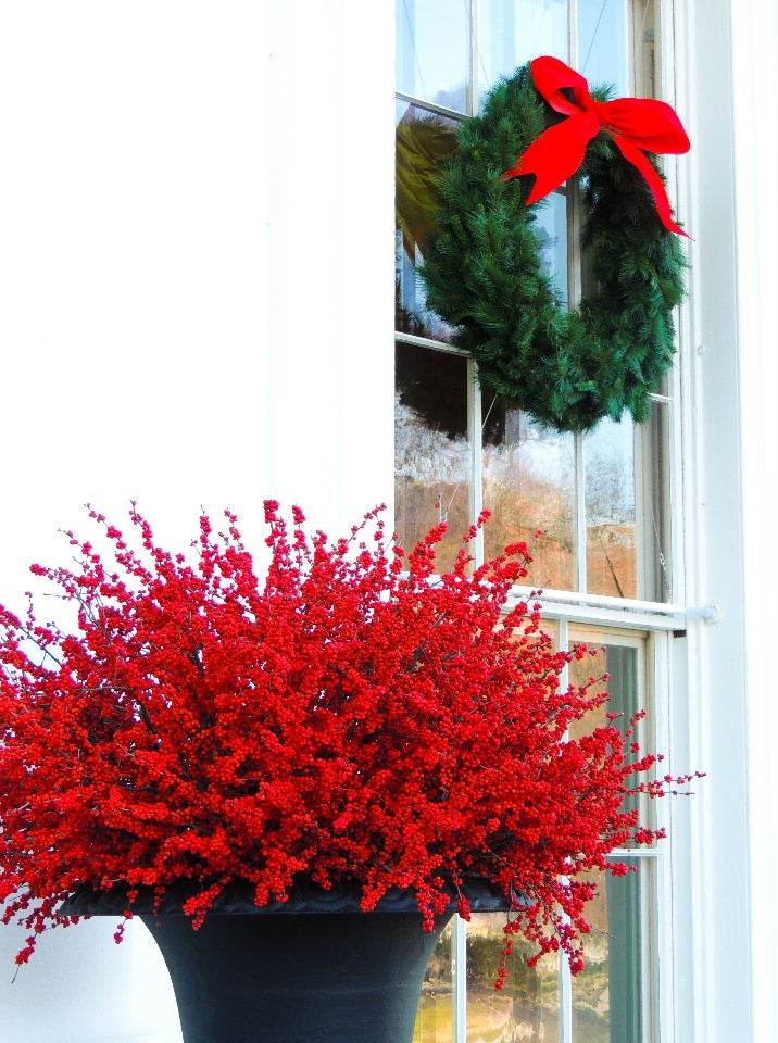 visit washington dc at christmas
