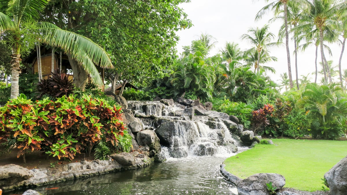 A Review of the Fairmont Orchid on the Big Island of Hawaii - The ...