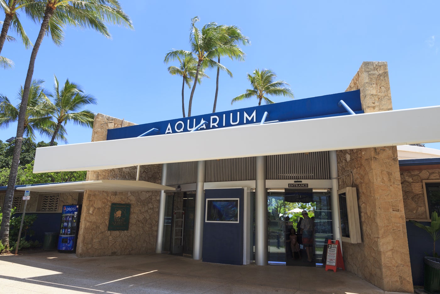 7 Fun Things to Do on a Rainy Day in Honolulu