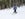 At 9, my oldest daughter now (thankfully) loves to ski.