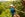 Ziplining in the cloud forests of Costa Rica. Photo: Getty Images