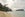 Samoa Beach Island Palm Tree