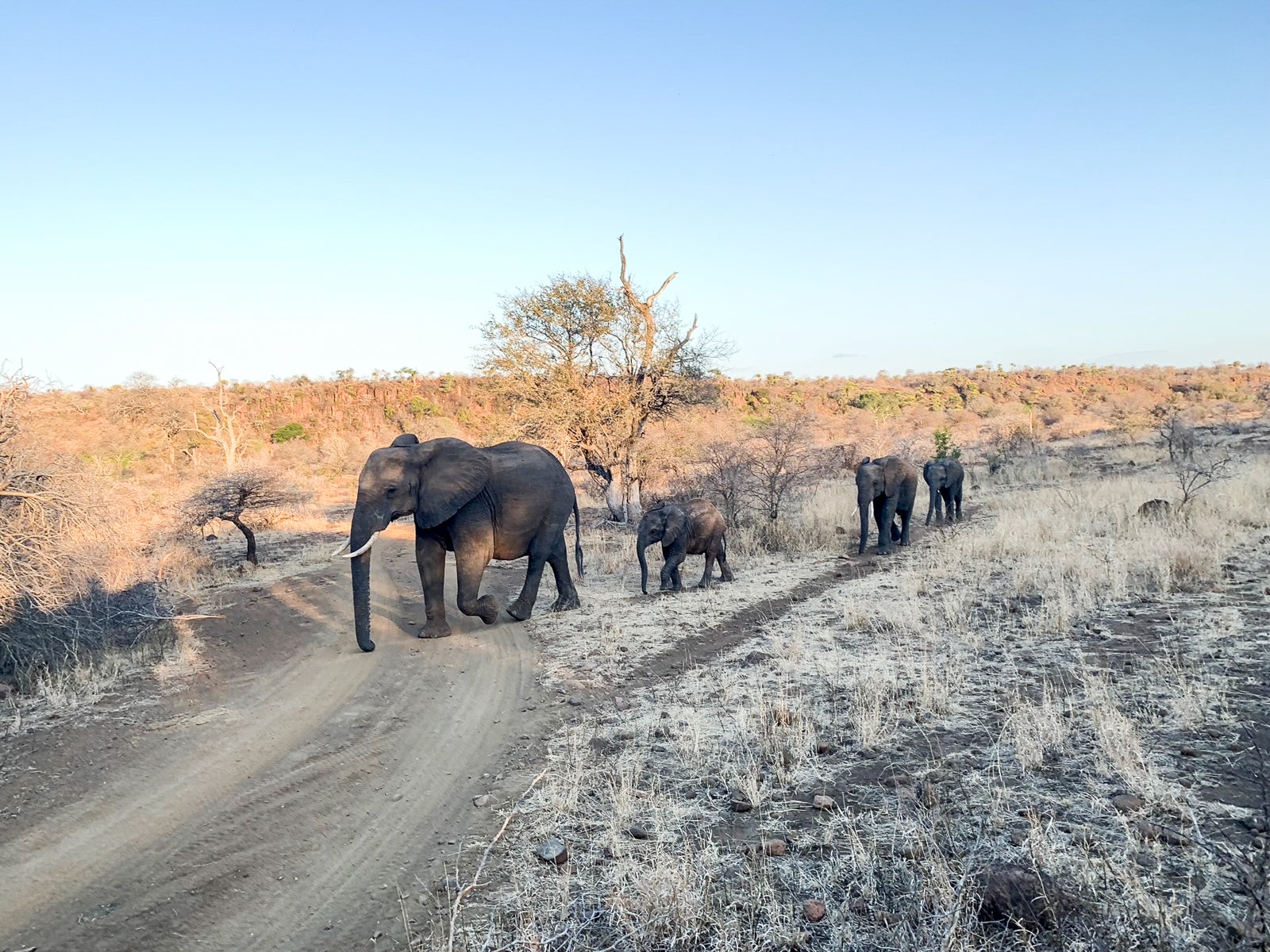 Singita Brian Kelly 2019-12