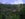 (Ubud, Bali, Indonesia. Photo courtesy of Capella, Ubud)