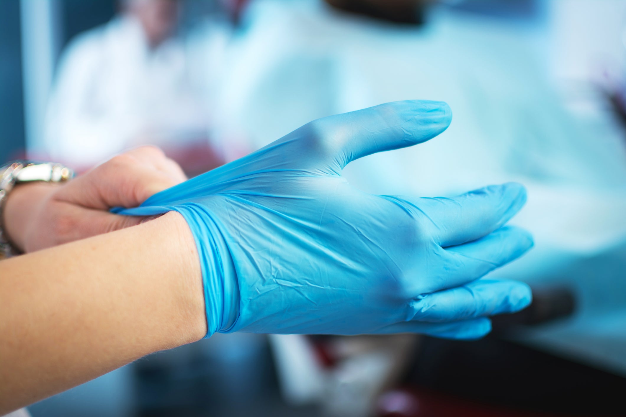 Female doctor's hands putting on blue sterilized surgical gloves.