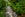 Forest interior. Bwindi Impenetrable Forest, Uganda. (Photo by: Roger de la Harpe/UIG via Getty Images)