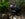 A Tasmanian Devil (Photo by Getty Images)