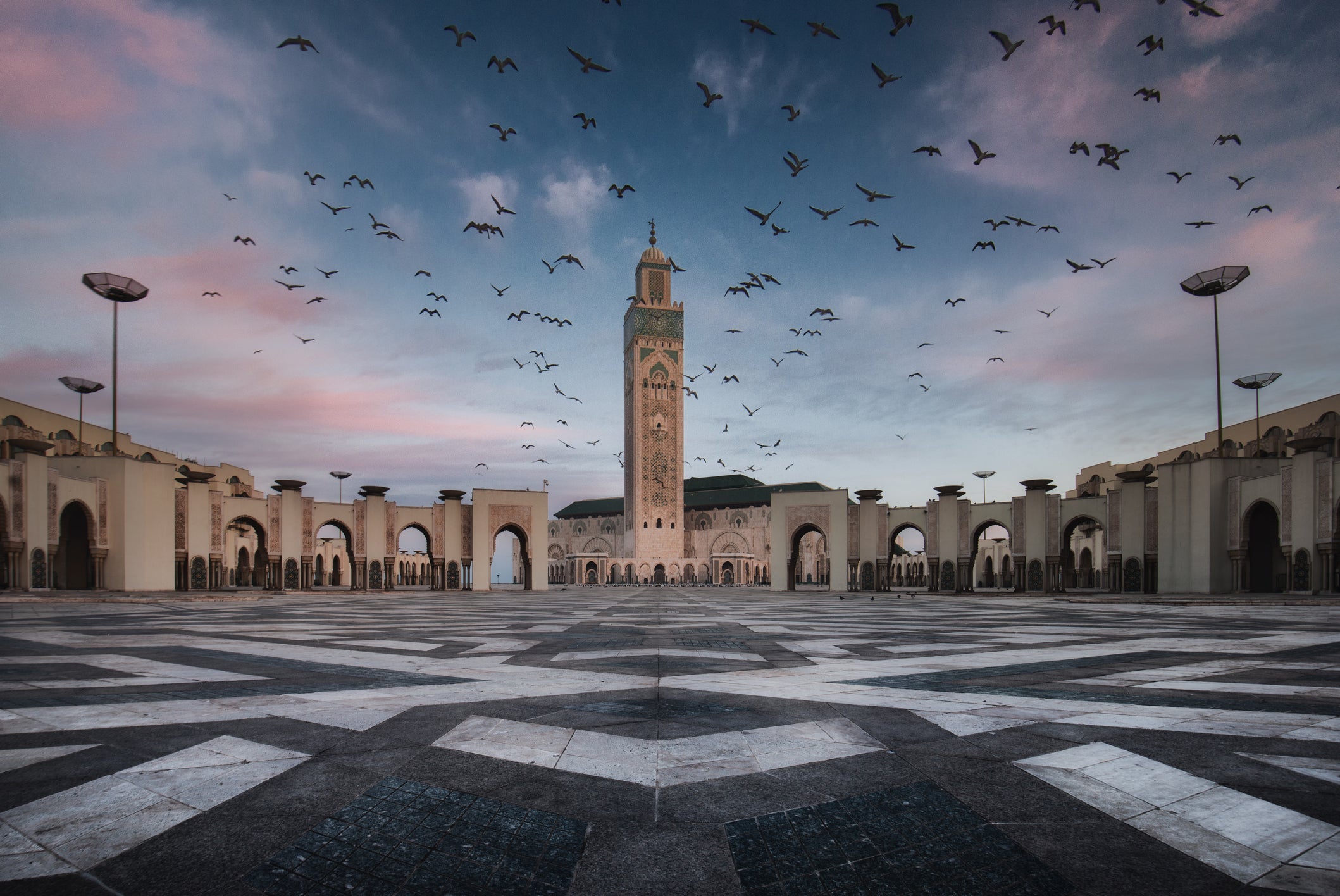 Hassan II Mosque Flock