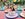 Alice in Wonderland Teacups ride Disneyland Anahei,