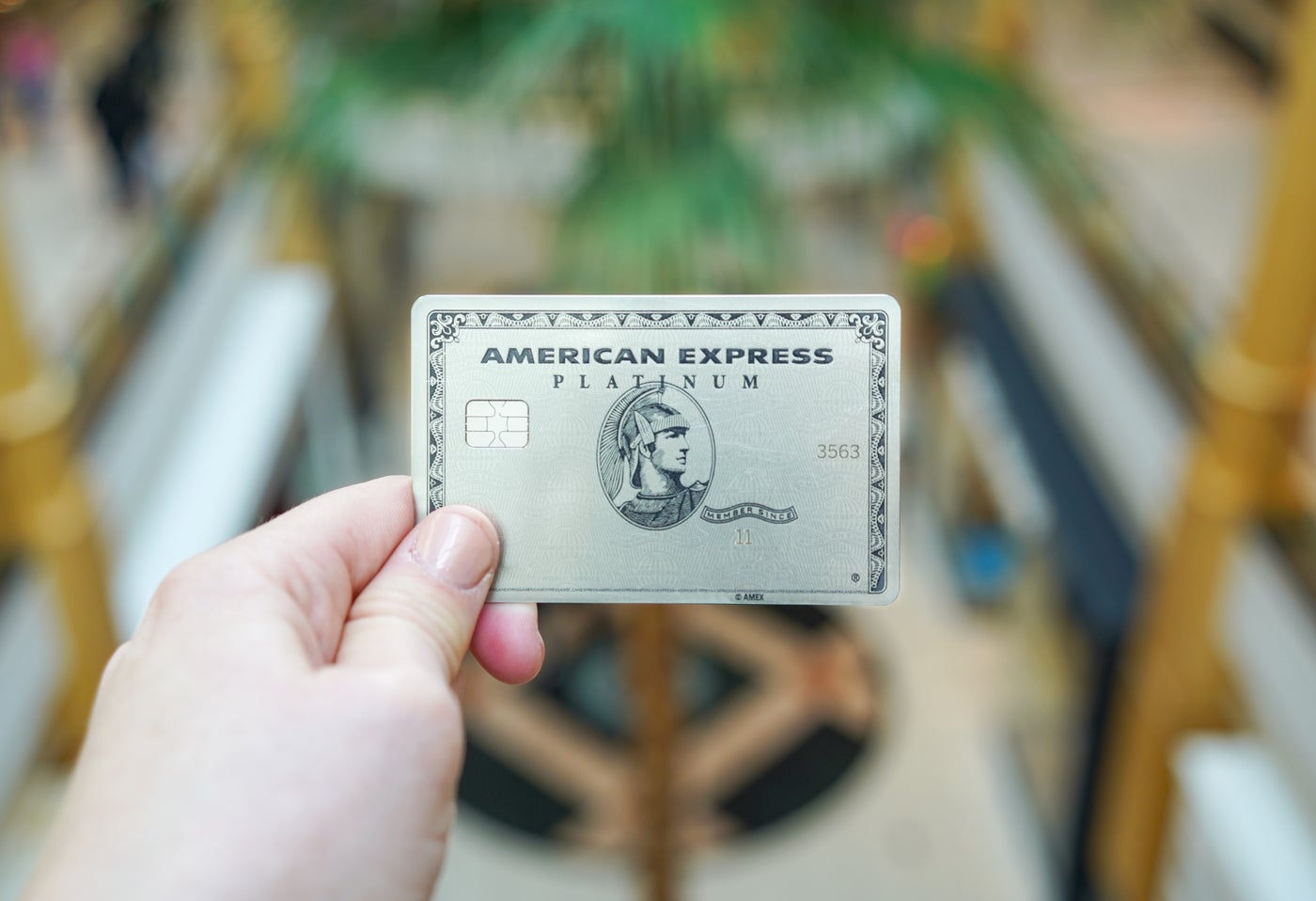 Amex Trifecta: Platinum, Gold & Blue Business Plus - The Points Guy