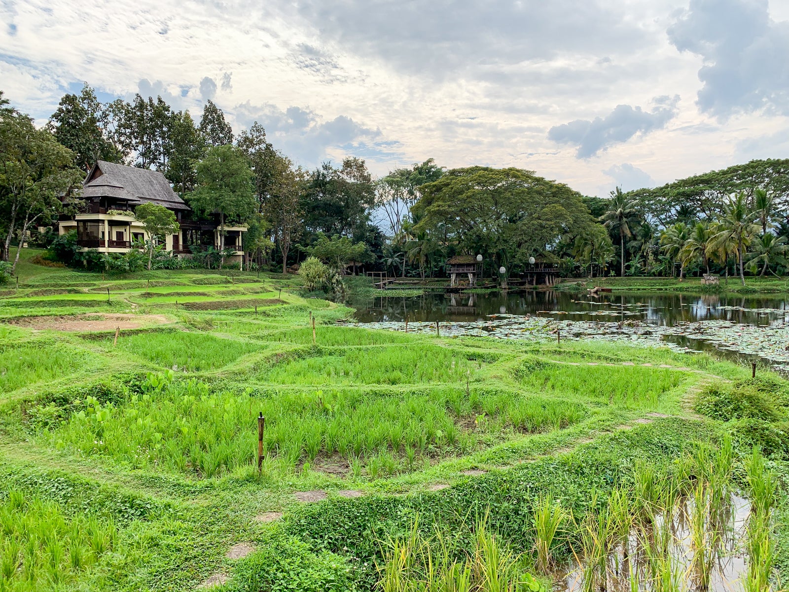Serene and Green: A Review of the Four Seasons Resort, Chiang Mai