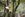 Giant pandas at a research center in Chengdu. (Photo by Theodor Lundqvist/Unsplash)