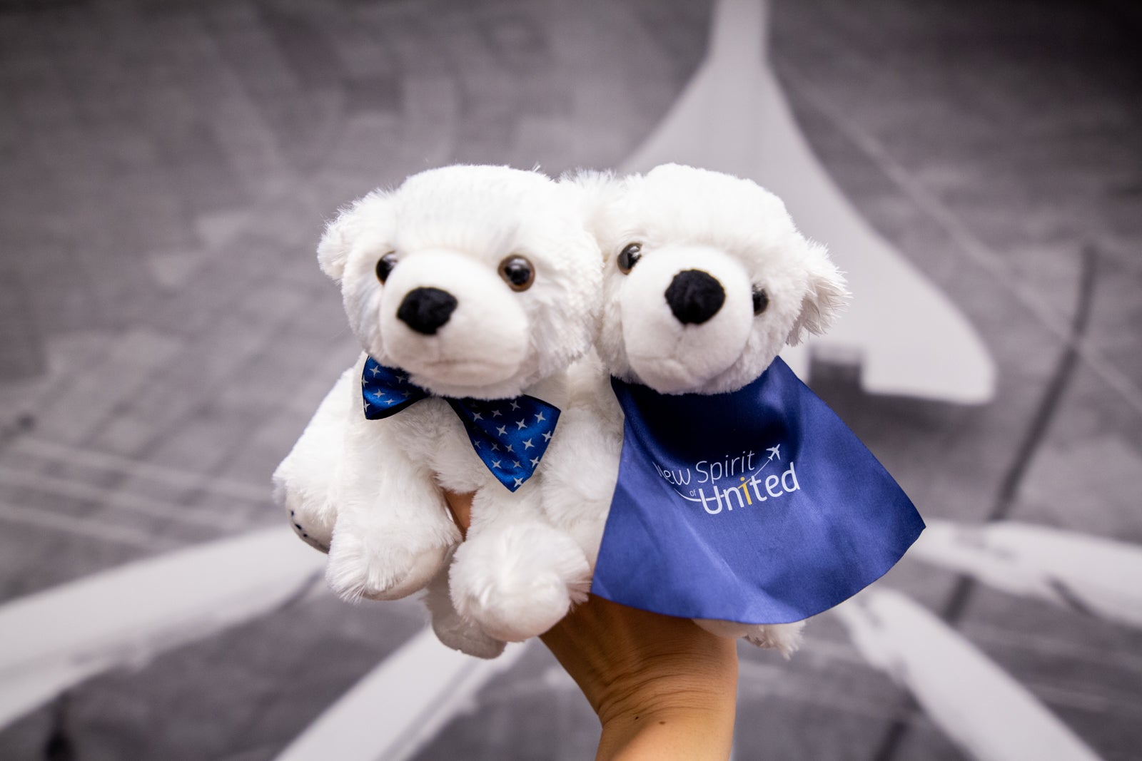 United Polaris Teddy Bears_March 2019-7