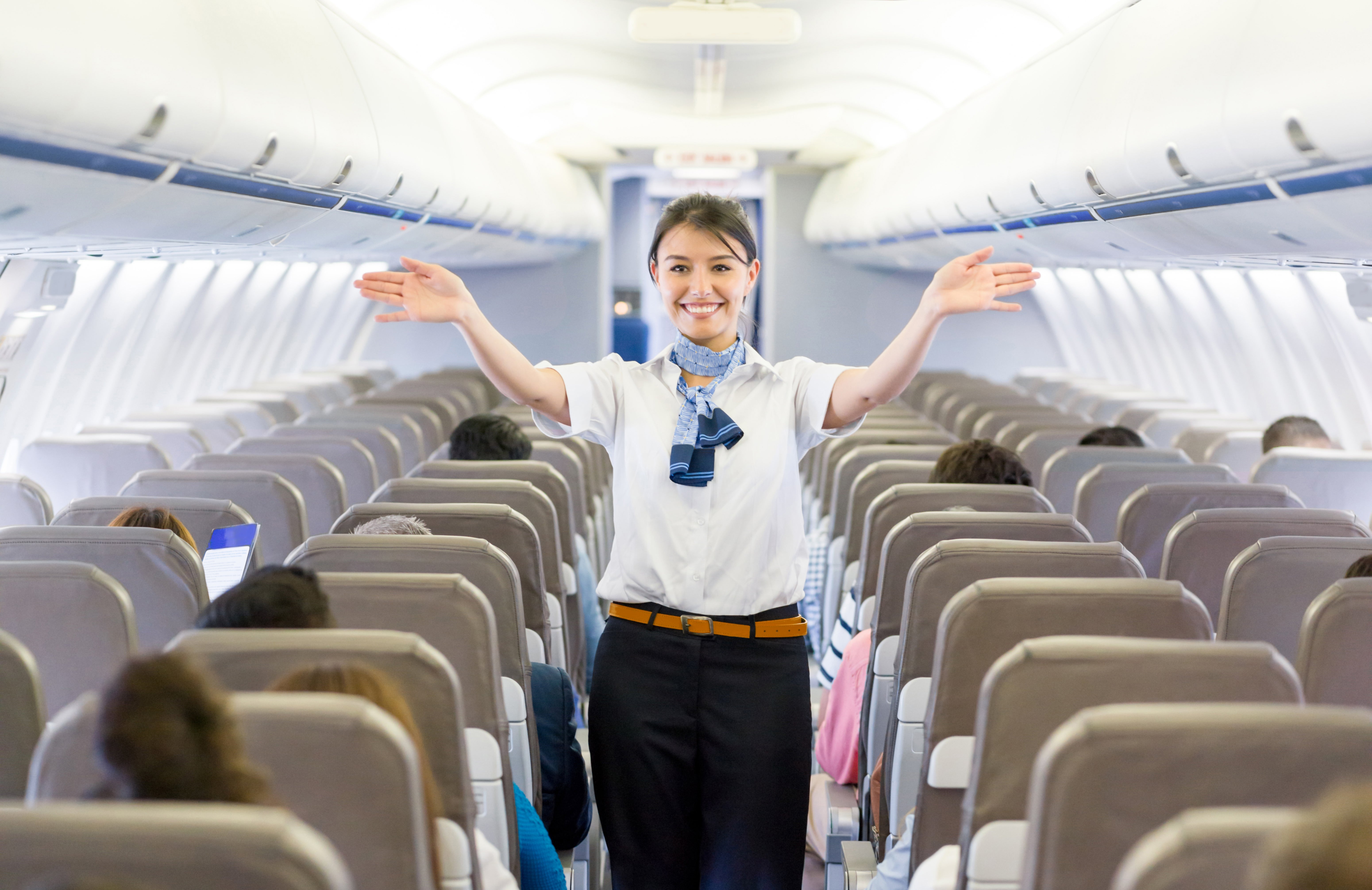 Delta Flight Attendant Applications