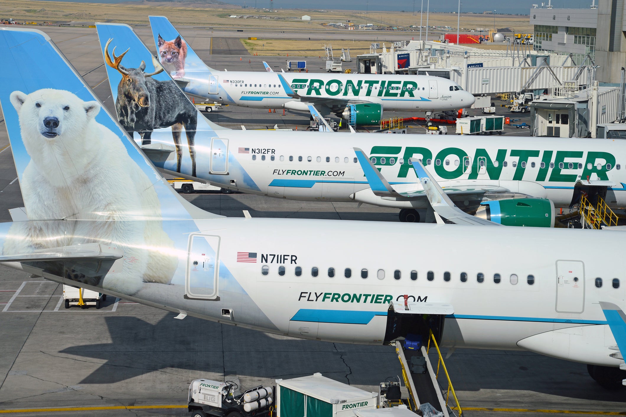 Frontier Airlines with aircraft at gate, while characterized as a low cost carrier, Frontier continues to expand with new routes in the United States.