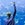 Along the hike in Golden Gate Park, stop into Steinhart Aquarium for some ocean immersion.
