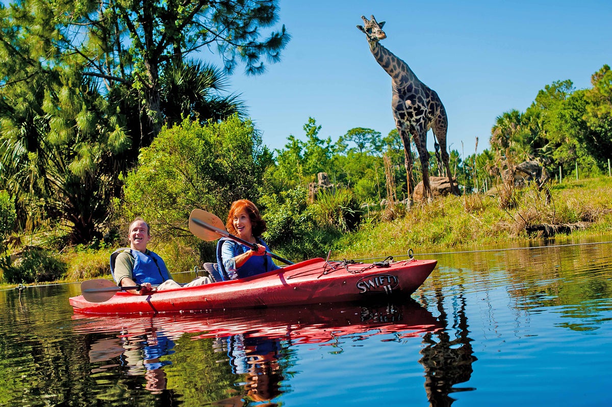 What to do On Florida’s Space Coast when you need a break from the ...