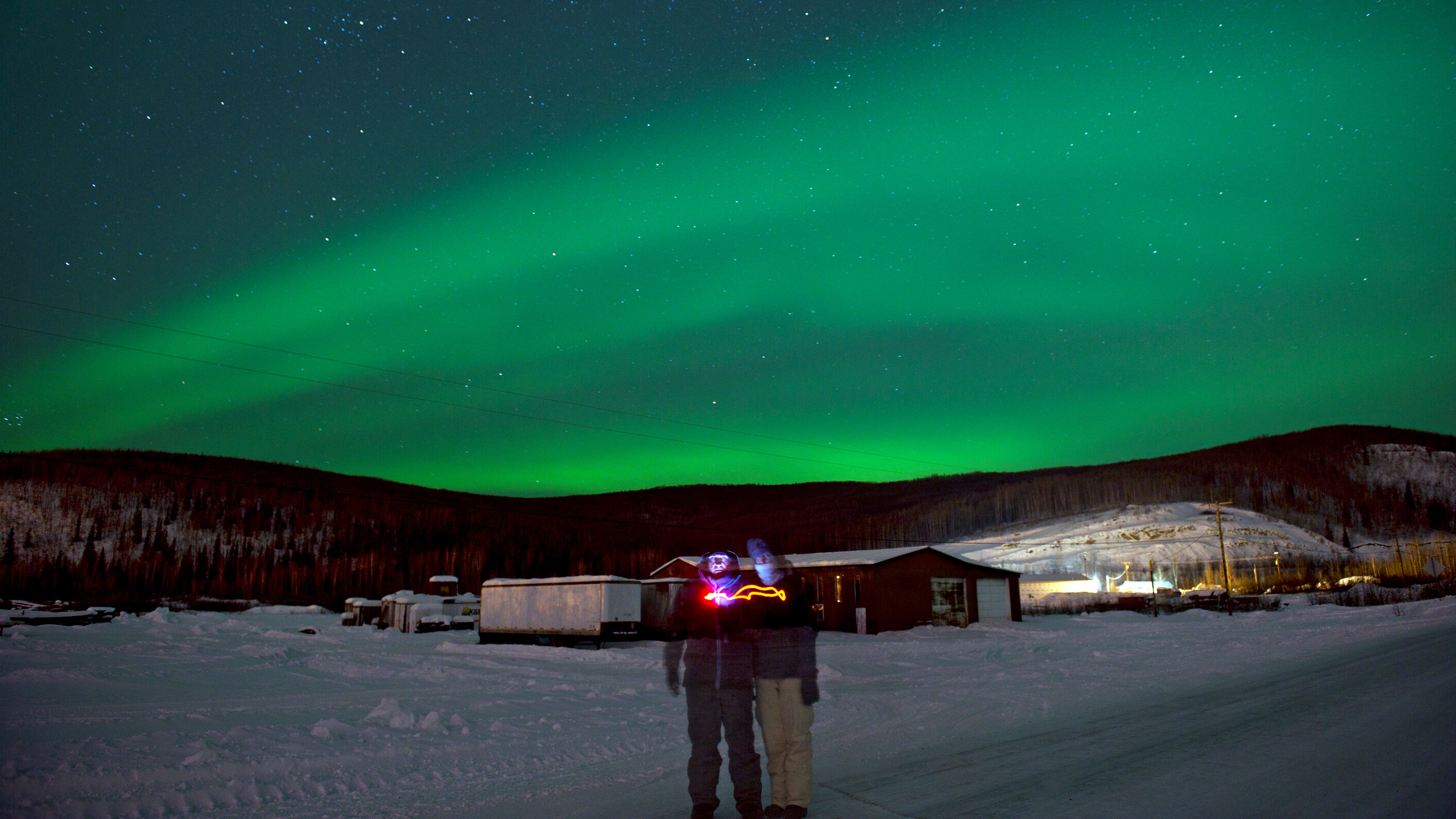 fox-alaska-northern-lights-winter