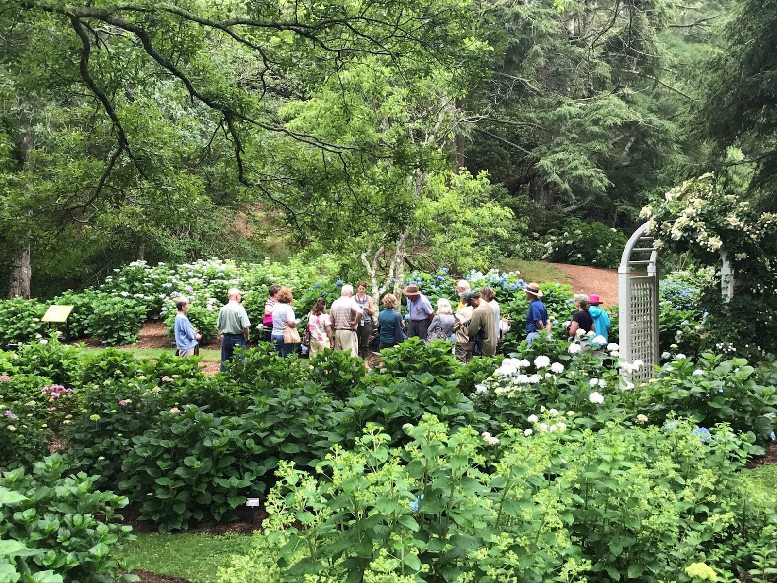 The Best Cape Cod Activities for Families The Points Guy