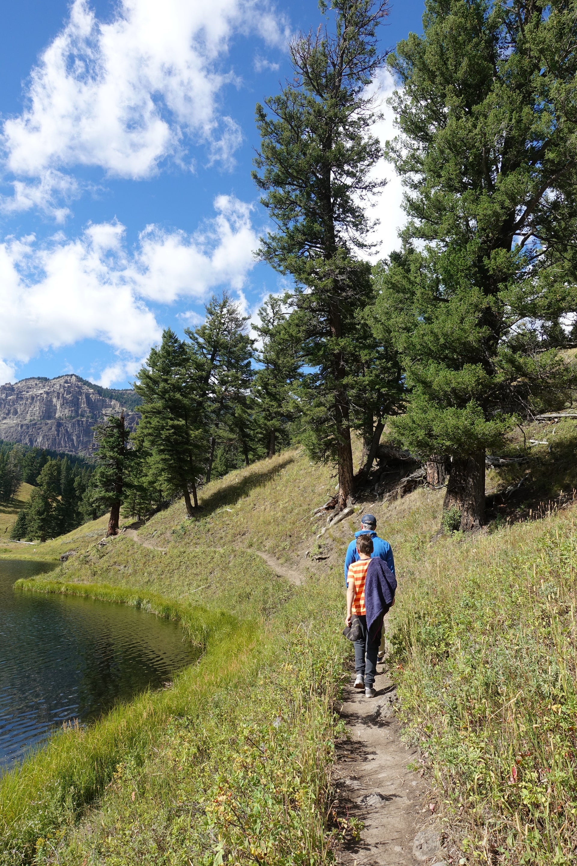 Plan a camping trip to Yellowstone National Park The Points Guy