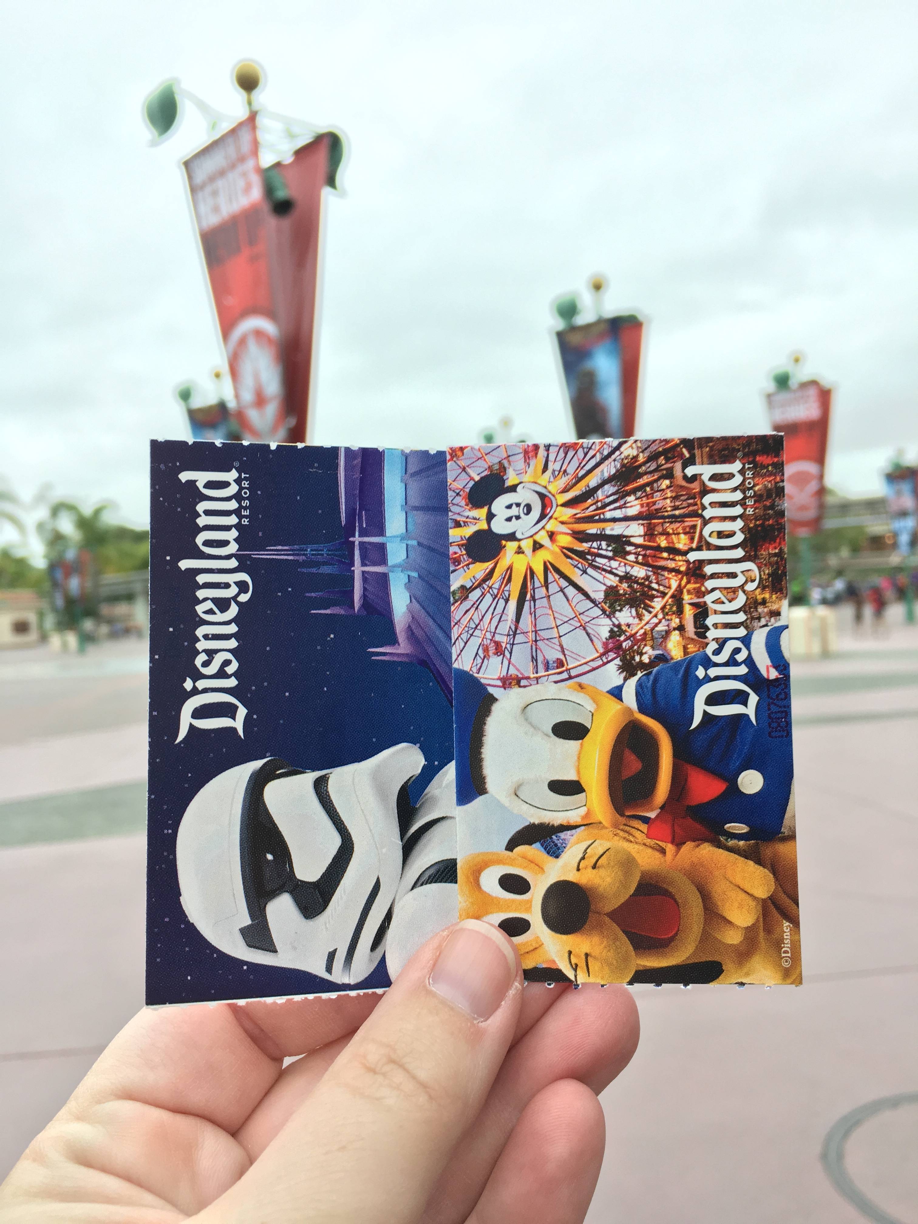 Biglietti Disneyland 