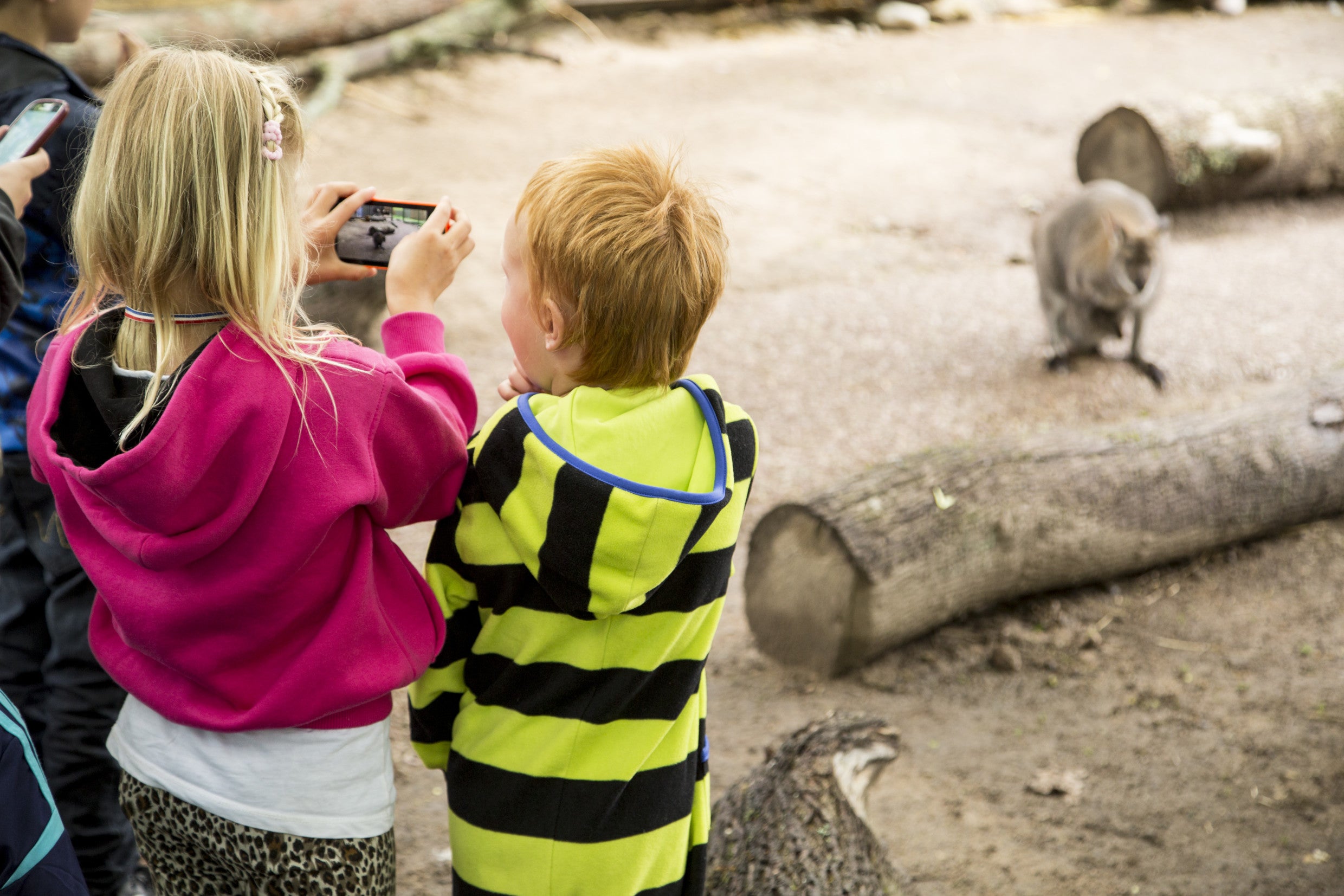 The Zoo in Helsinki is a great place for kids to enjoy the animals and run off some energy. (Photo courtesy of Mari Lehmonen)