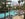 Las Vegas with kids - Flamingo Pool
