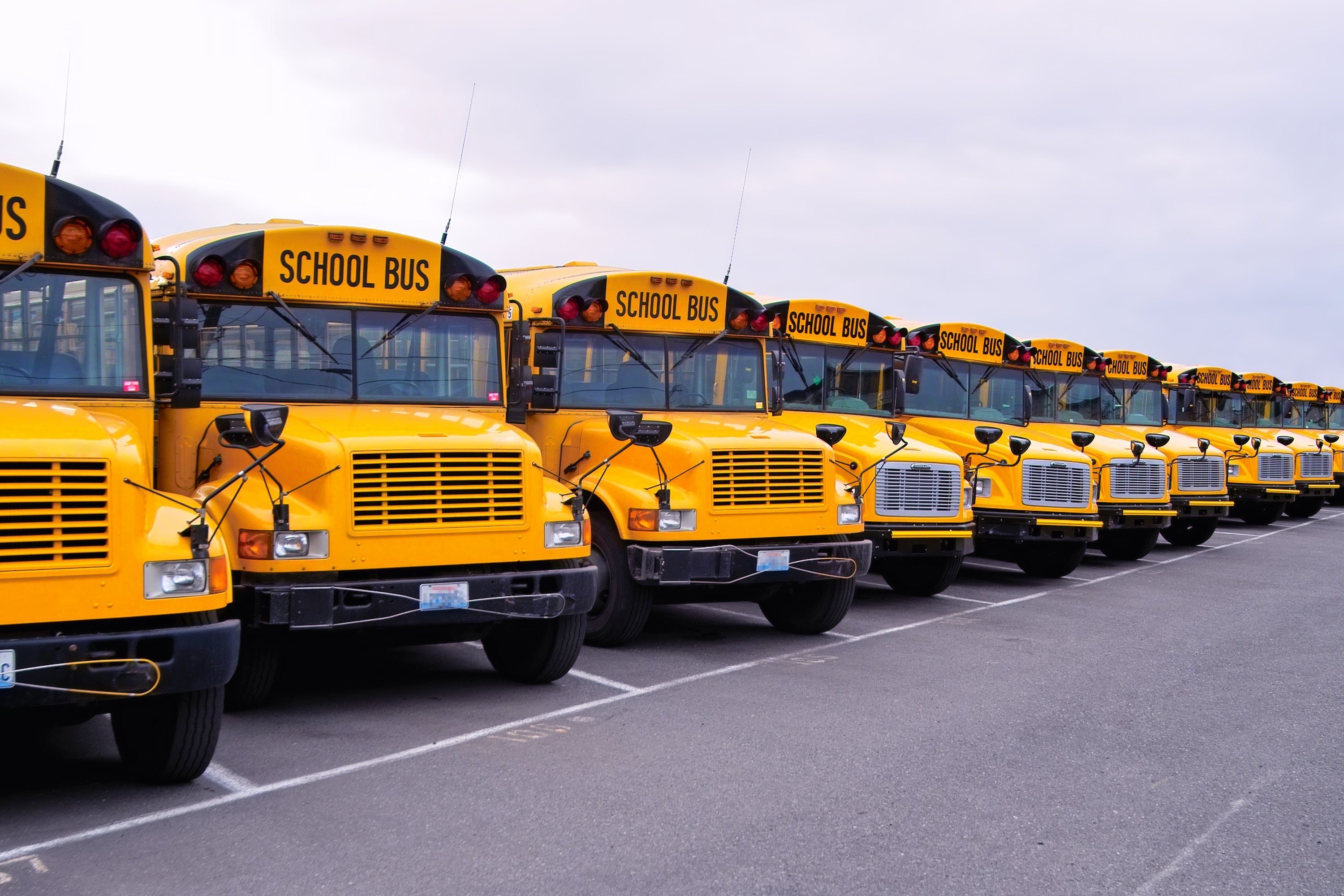School Bus Lineup