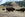 Bison herd in Yellowstone National Park