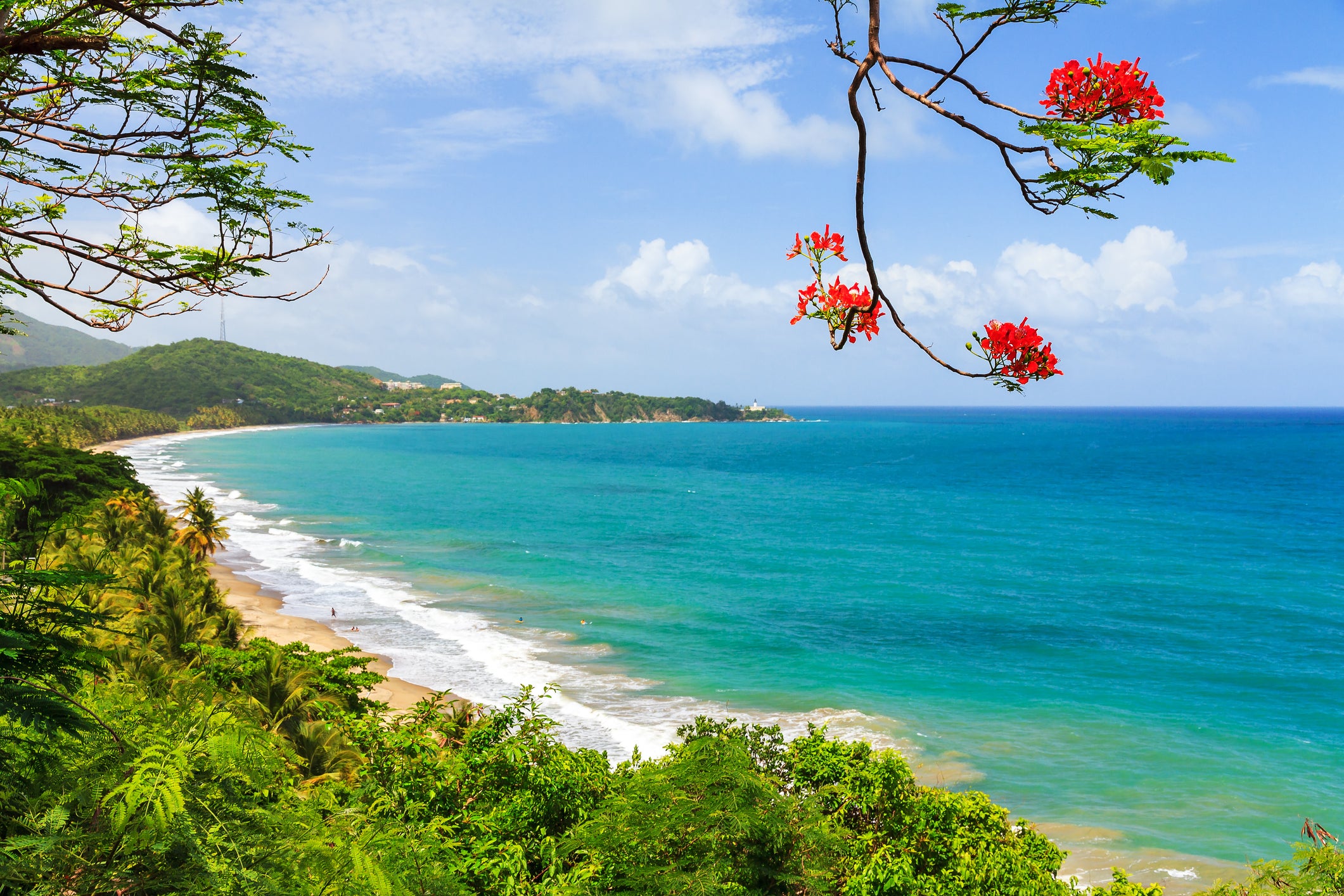 Summer beach Puerto Rico