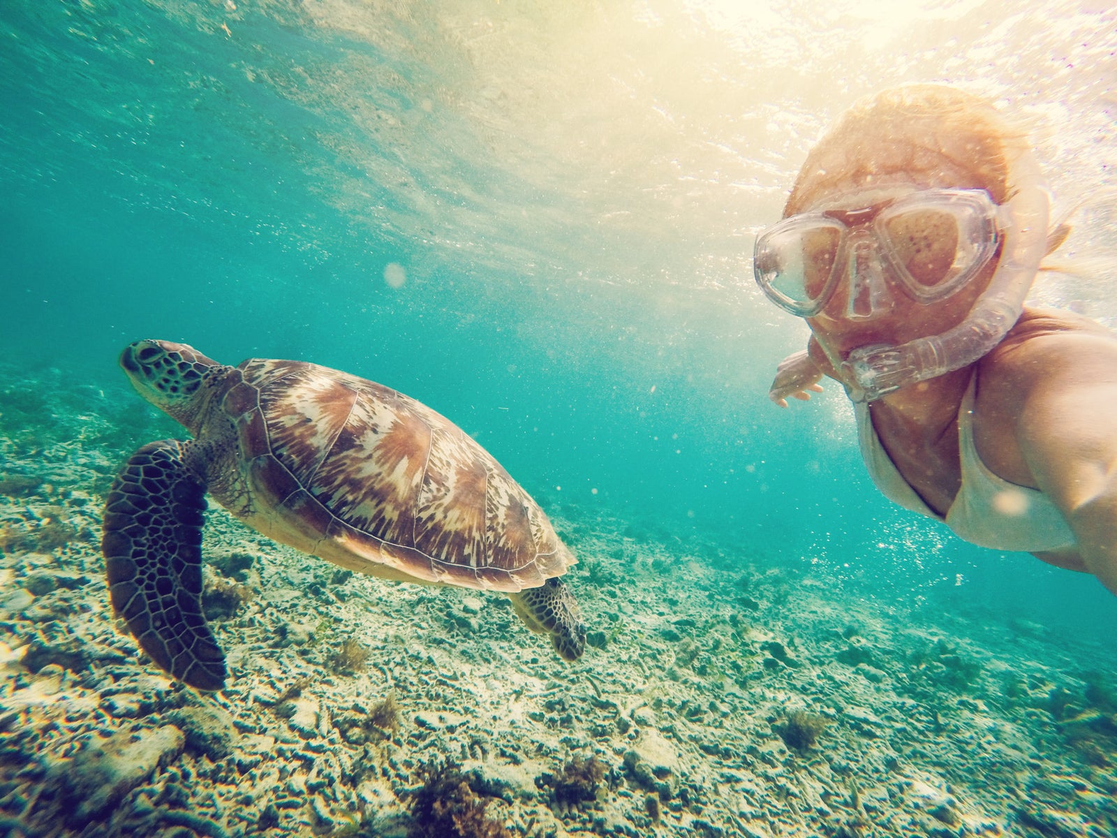 Selfie of girl with turtle underwater