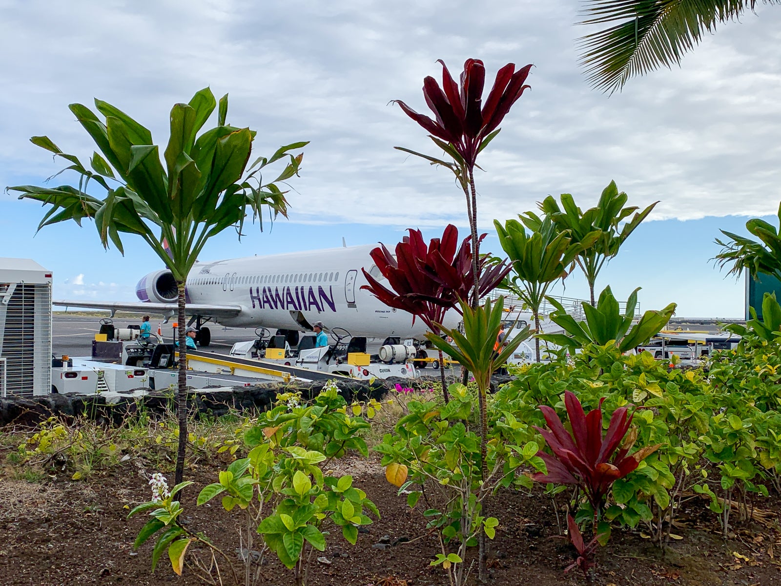 Hawaiian Airlines (Photo by Summer Hull/The Points Guy)