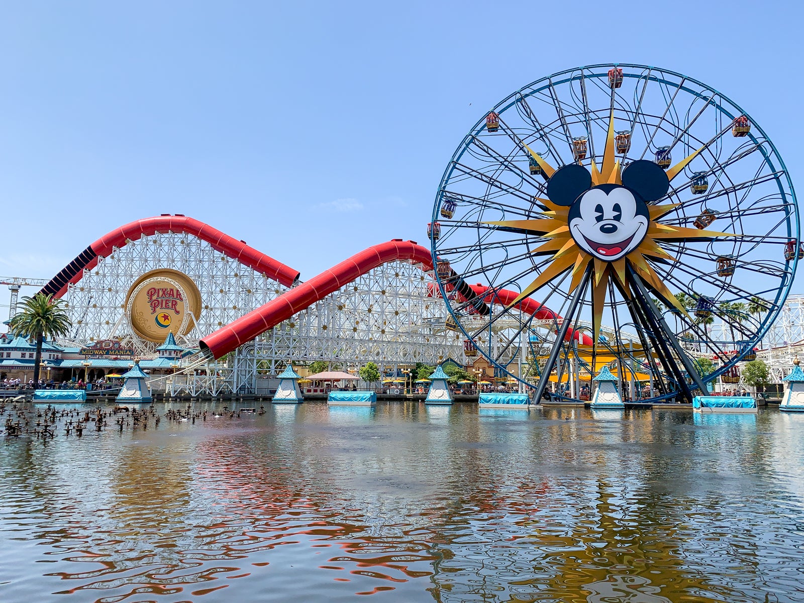 Disneyland Generic Review