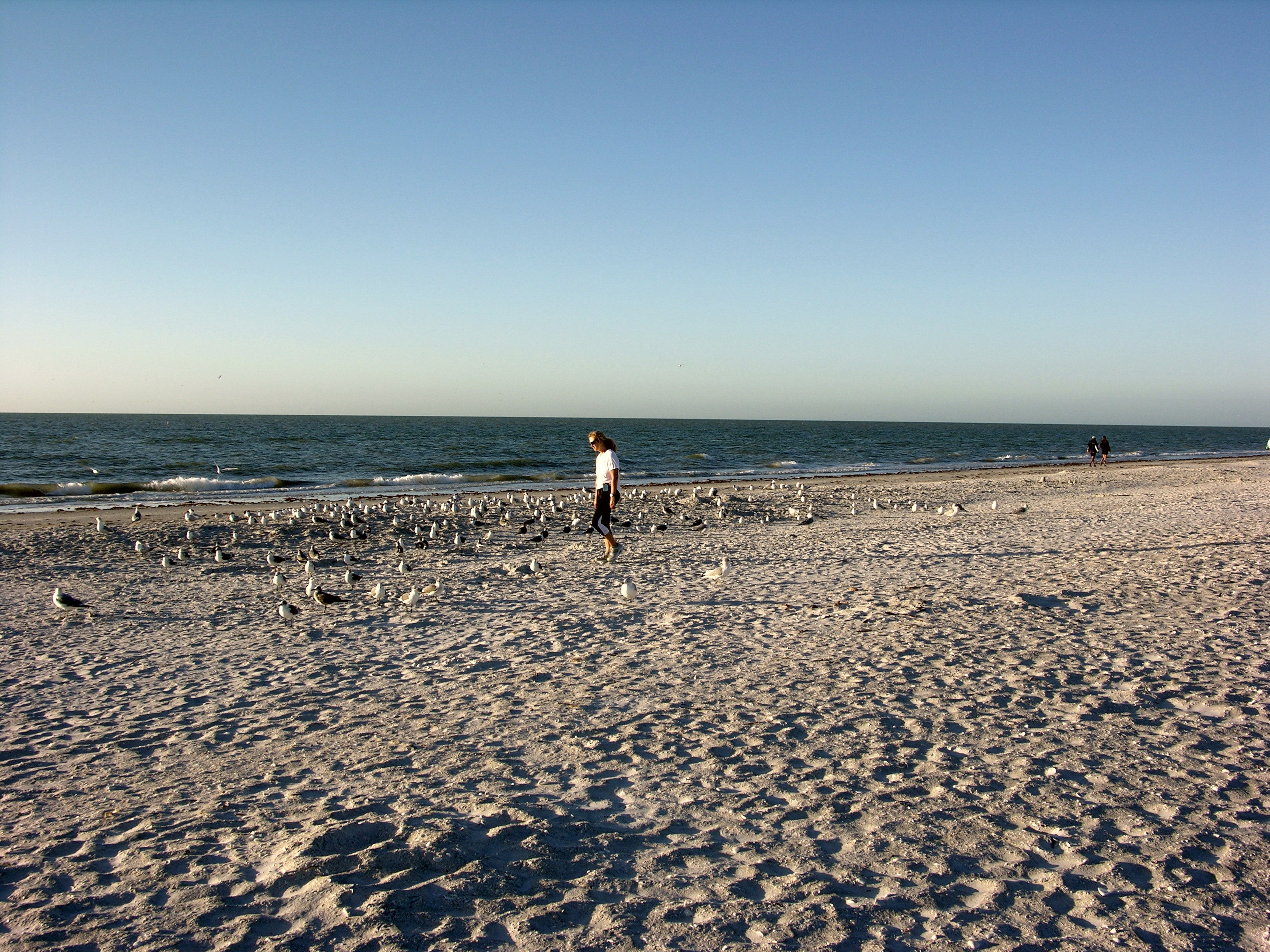 Fun Activities When Visiting Sanibel Island And Ft. Myers With A Family ...