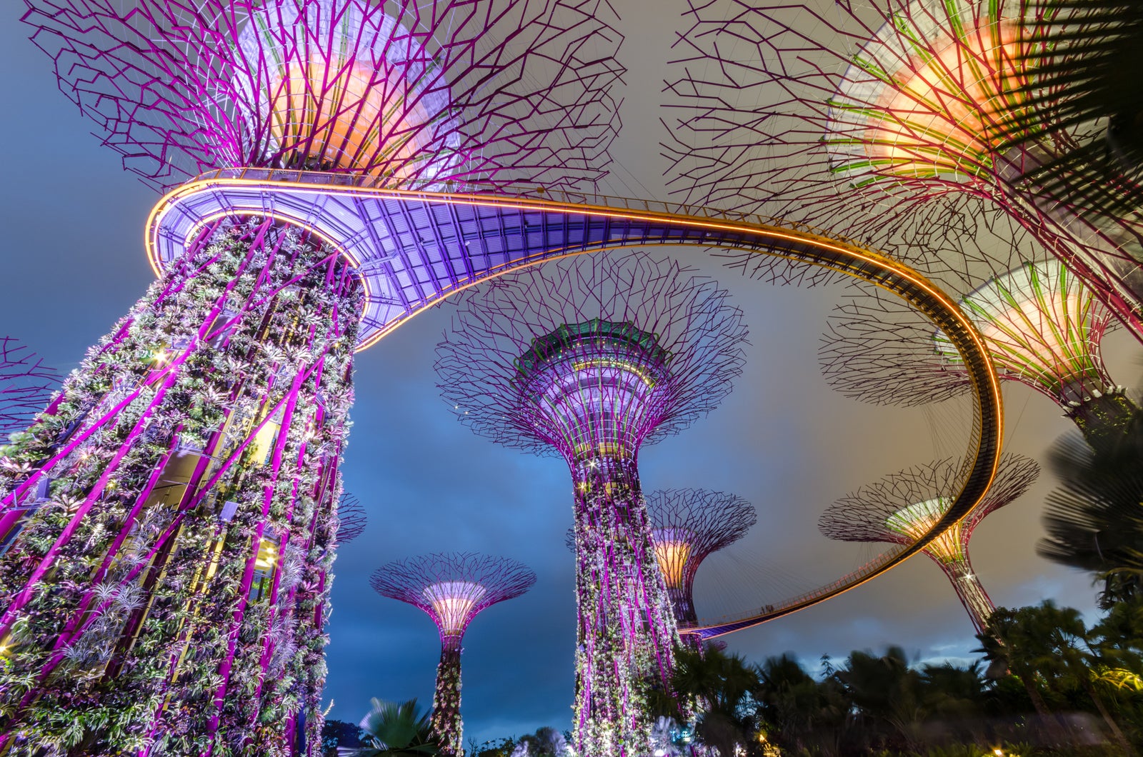 Garden by the bay,Singapore