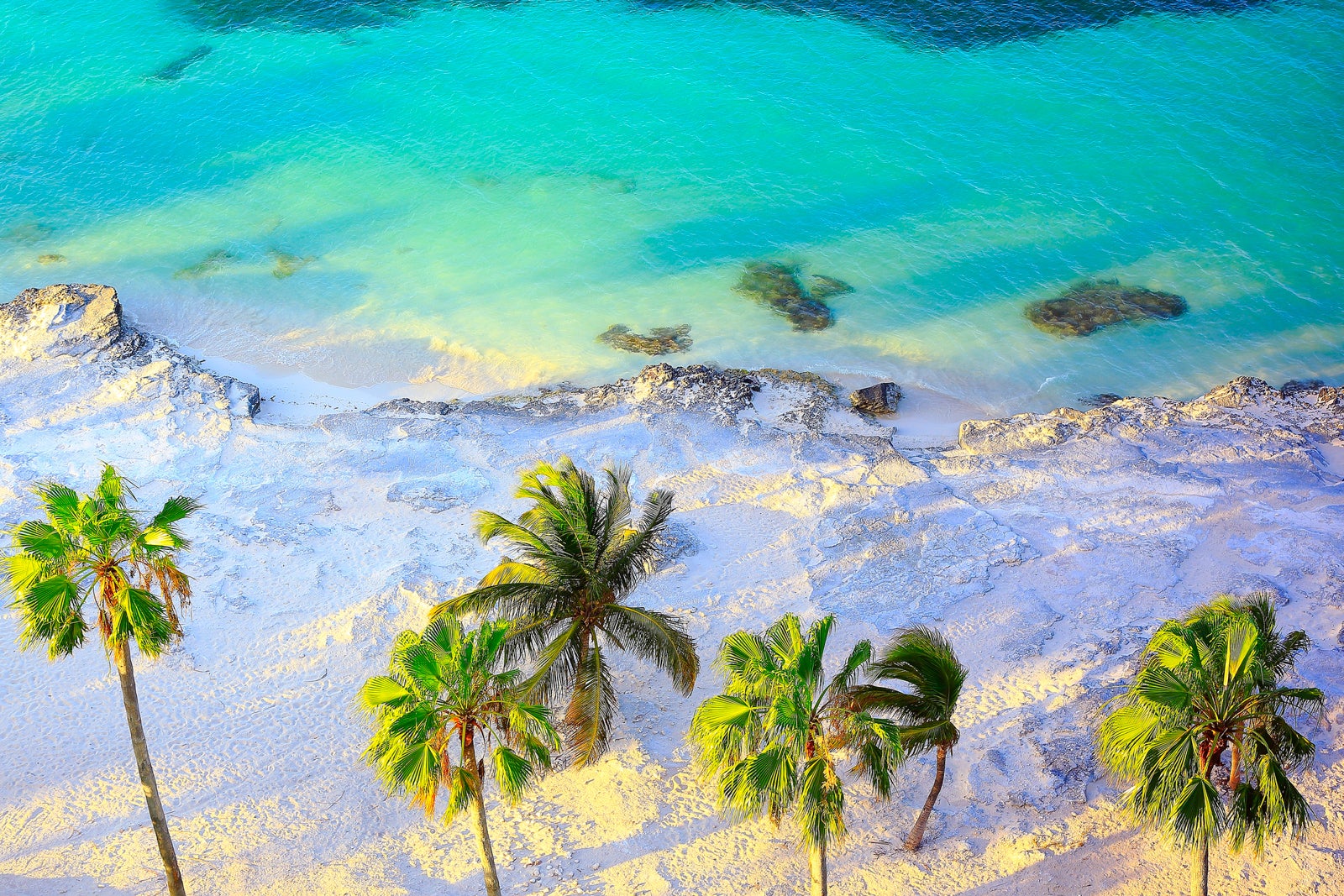 Tropical paradise sunset: Aerial Sunny Sandy caribbean palm trees beach