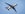 airbus-AlbatrossOne-folding-wing-tips-model-a321-demonstrator-belly