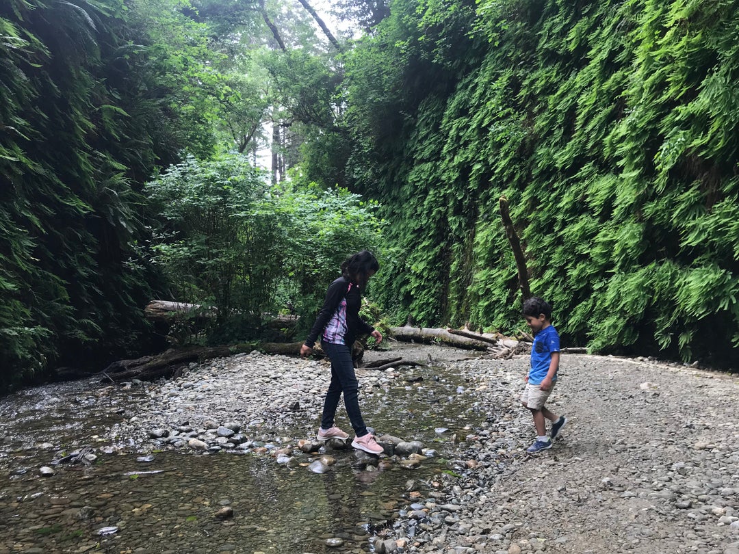 Things to know when taking the family to Redwood National and State ...