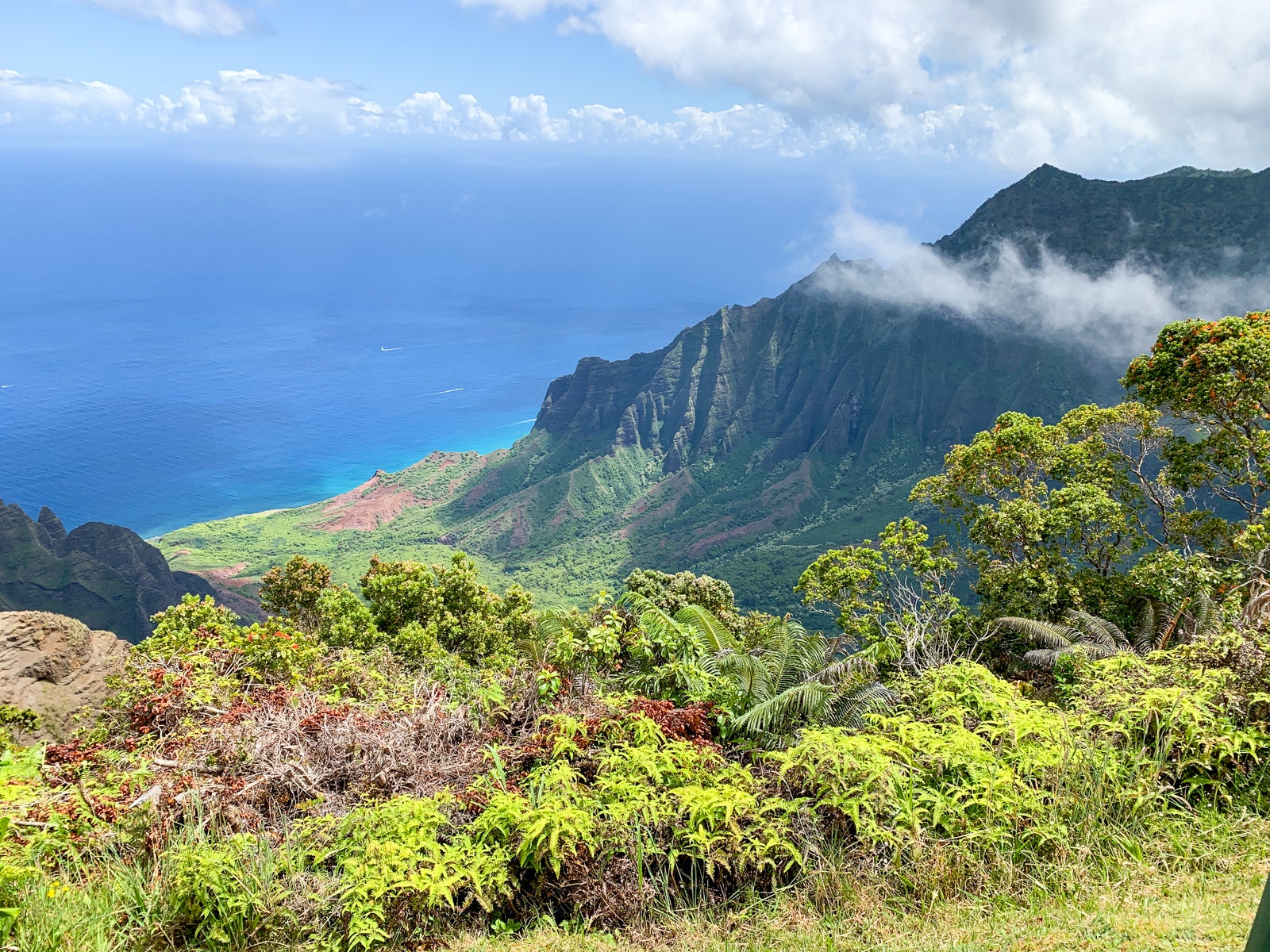 Kauai (Photo by Summer Hull / The Points Guy)