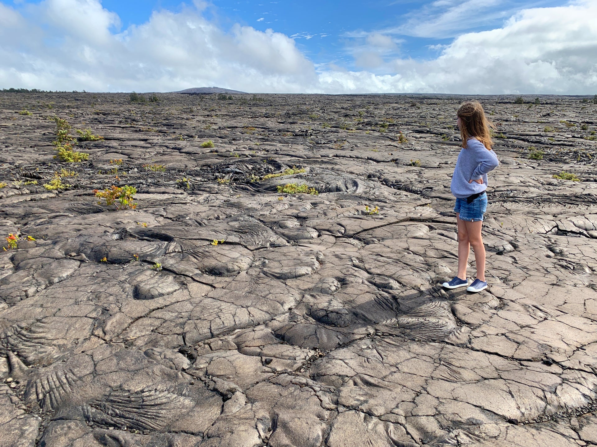 How to Plan a Hawaiian Vacation With Your Hilton Points The Points Guy