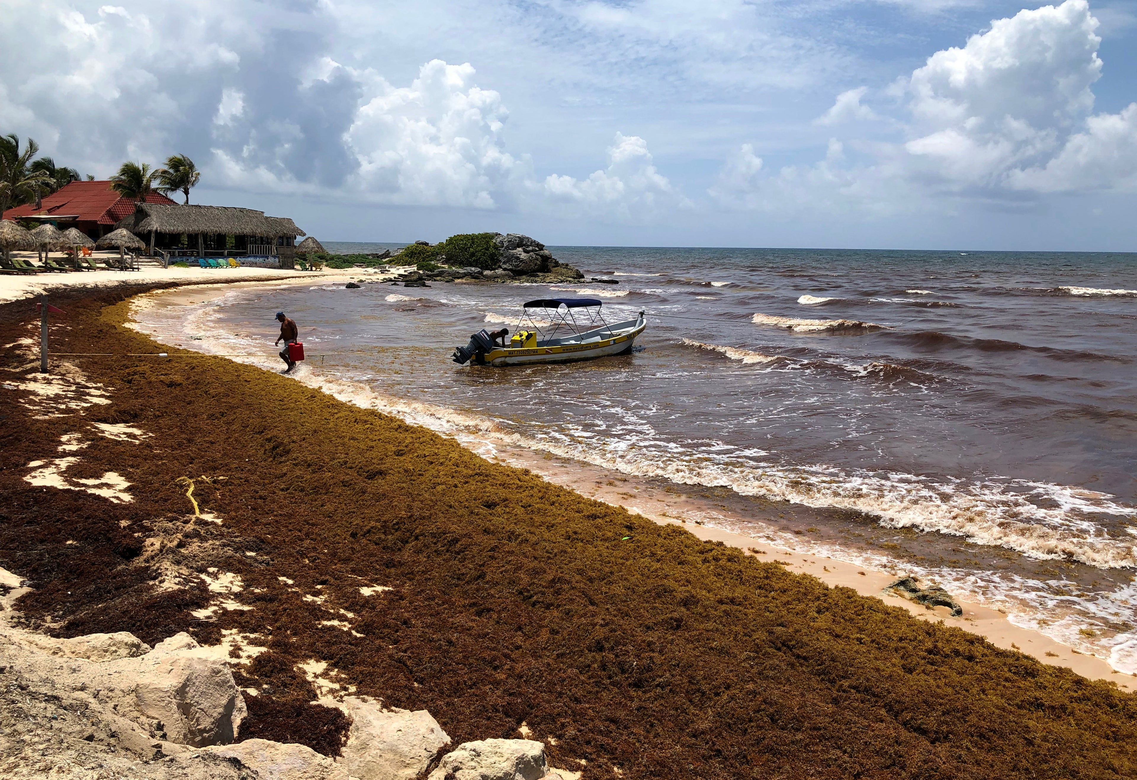 Seaweed-Like Algae Threatens Mexico's Riveria Maya Tourism Industry As It Washes Up Upon Once Pristine Beaches