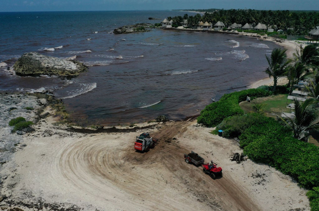 Seaweed-Like Algae Threatens Mexico's Riveria Maya Tourism Industry As It Washes Up Upon Once Pristine Beaches